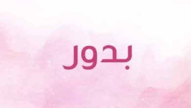 <p><strong>تفسير اسم بدور في المنام لابن سيرين: اكتشف المعاني والدلالات العميقة وراء هذا الاسم الجذاب</strong></p> 3 عيوب اسم بدور scaled